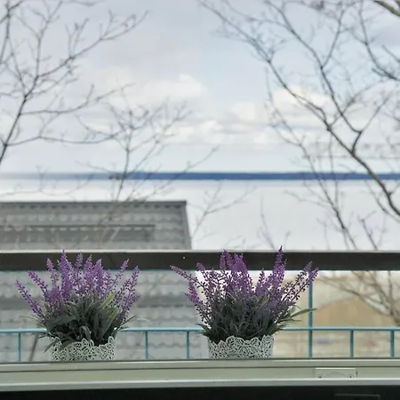 Cozy In For 2 With Own Sauna,balcony And A Free Parking